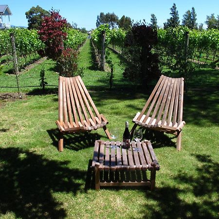 Villa In The Vines Мартинборо Экстерьер фото