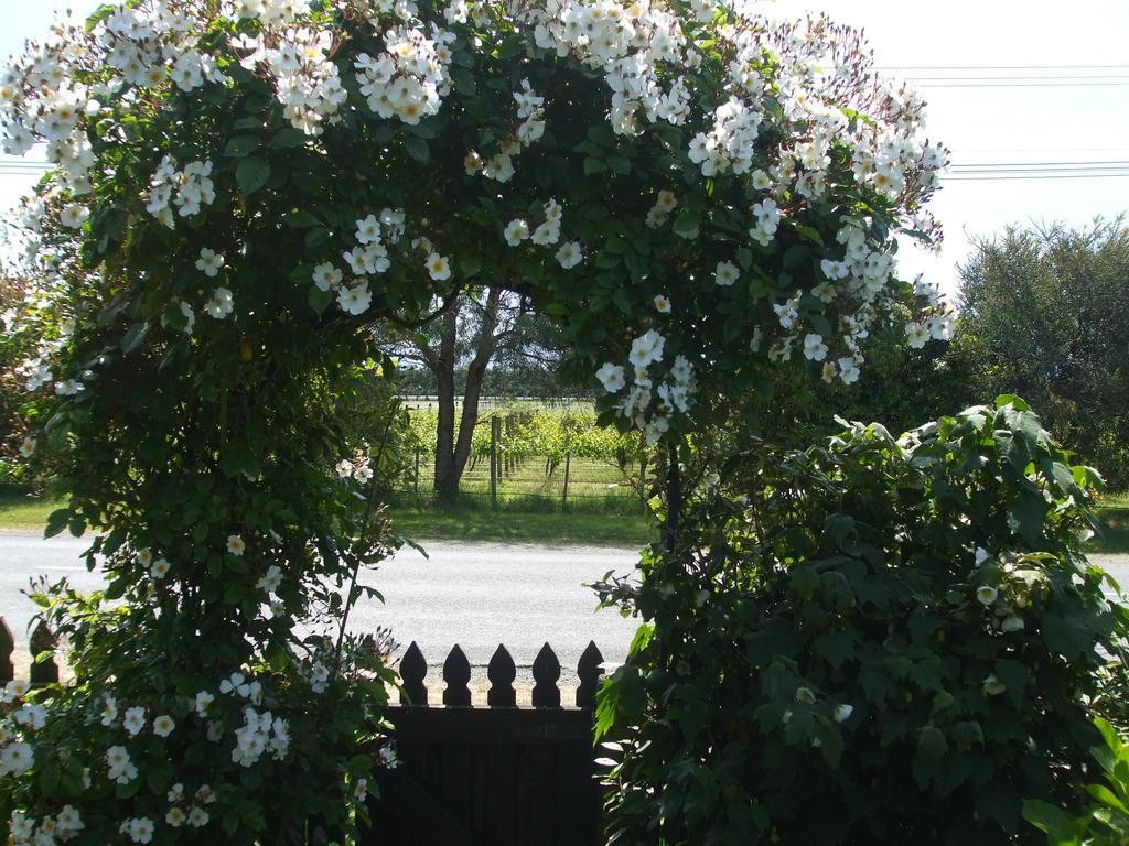 Villa In The Vines Мартинборо Экстерьер фото